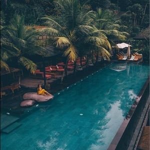 Meet your Posher, Ava